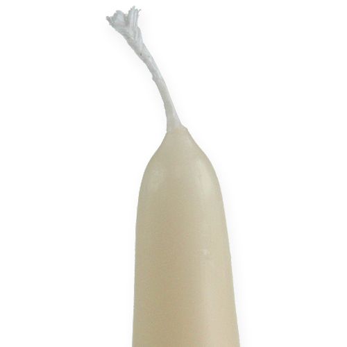 Floristik24 Spetsljus 300/40 grädde 8st