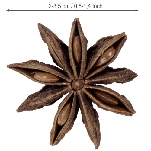 Artikel Stjärnanisdekoration hantverksartiklar naturlig dekoration torkad anis 500g