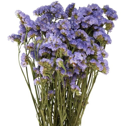 Floristik24 Havslila Lila Statice Limonium sinuatum Torkade blommor 60cm 50g