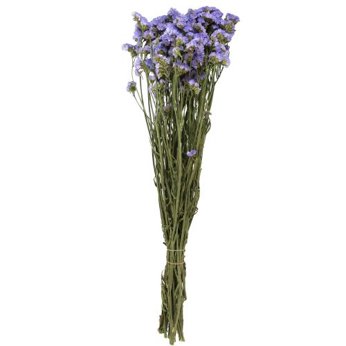 Floristik24 Havslila Lila Statice Limonium sinuatum Torkade blommor 60cm 50g