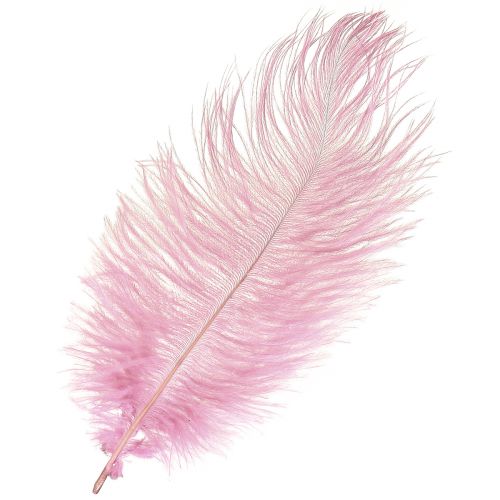 Strutsfjädrar Äkta fjädrar Dekoration Rosa 20-25cm 12 st