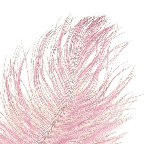 Artikel Strutsfjädrar Äkta fjädrar Dekoration Rosa 20-25cm 12 st
