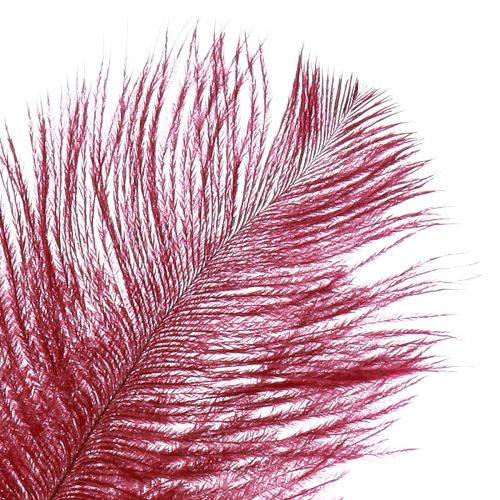 Artikel Strutsfjädrar riktiga fjädrar dekoration vinröd 20-25cm 12 st