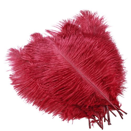 Artikel Strutsfjädrar riktiga fjädrar dekoration vinröd 20-25cm 12 st