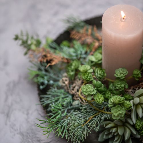 Artikel Suckulent Echeveria 17cm Grå 3 st
