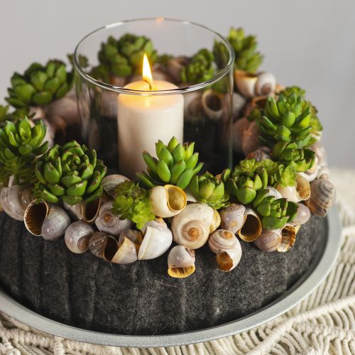 Artikel Suckulent Echeveria Artificiell Grön Växt Grön Ø5,5cm 12,5cm