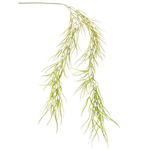 Artikel Suckulent hängande grön 145cm