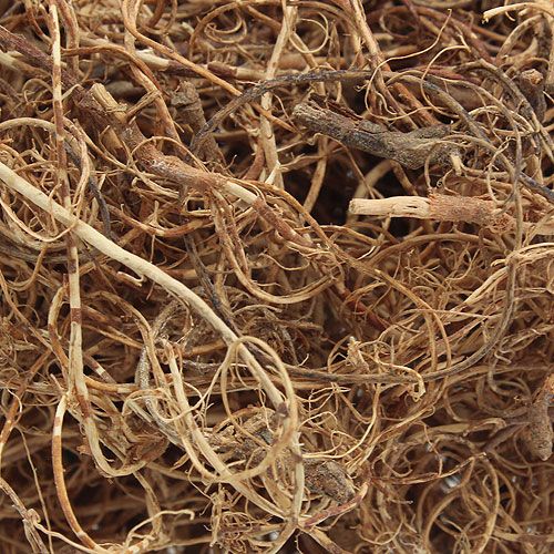 Floristik24 Deco fiber Tamarind Fiber Natur hantverksmaterial naturfiber 500g