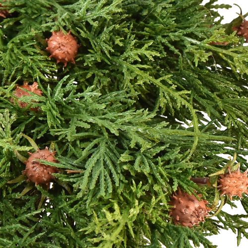Floristik24 Grankrans Thuja med knoppar bas vinkrans Ø50cm