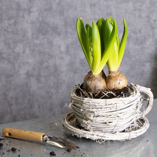 Artikel Tekopp tillverkad av naturmaterial med rustik charm för exklusiv inomhusdekoration 13 cm