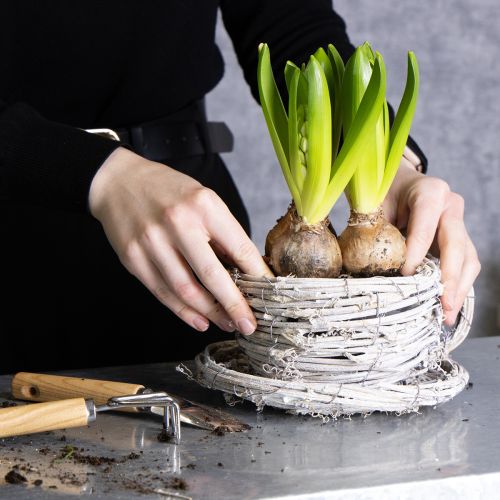 Artikel Tekopp tillverkad av naturmaterial med rustik charm för exklusiv inomhusdekoration 13 cm