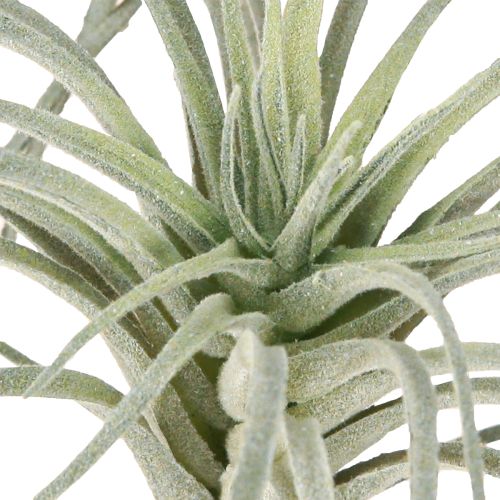 Artikel Tillandsia suckulenta konstgjorda gröna växter 13cm