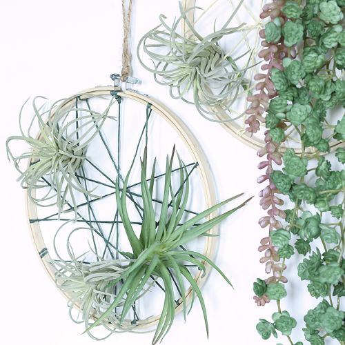 Artikel Tillandsia suckulenta konstgjorda gröna växter 13cm