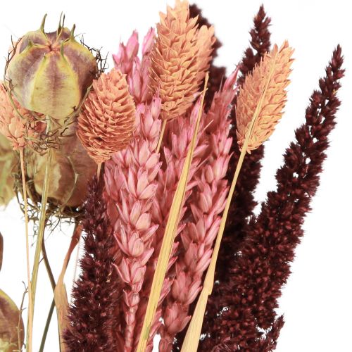 Floristik24 Torkad blombukett korn Nigella rosa orange 50cm