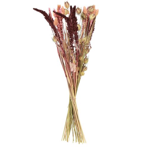 Floristik24 Torkad blombukett korn Nigella rosa orange 50cm