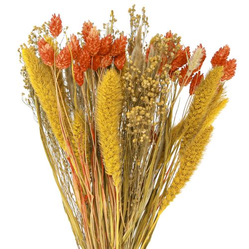 Floristik24 Torkad blombukett med korn orange gul 50cm