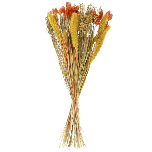 Floristik24 Torkad blombukett med korn orange gul 50cm