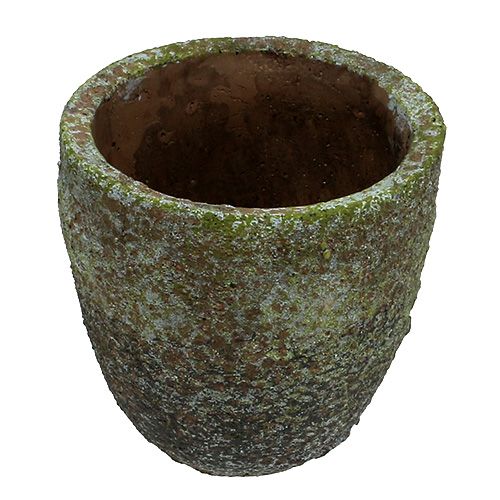 Floristik24 Planter med mossa Ø16cm H16cm 1p
