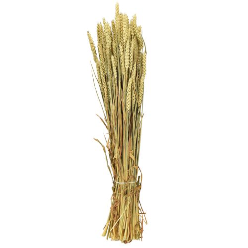 Artikel Veteknippe naturligt dekorativt vete 1 knippe 150g