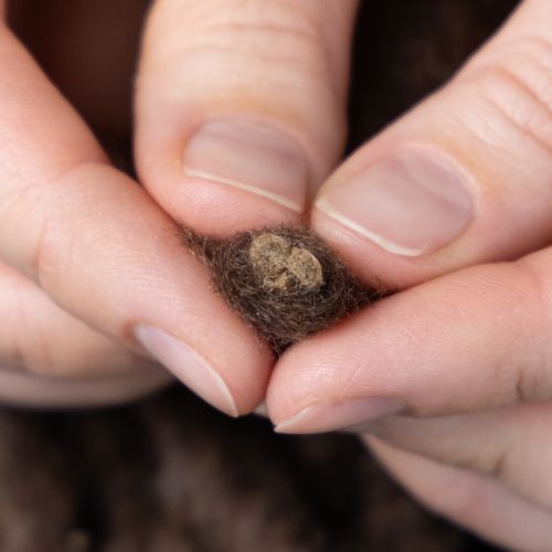 Artikel Fluffigt Mirabell-ullsnöre, brunt, 25 m dekorativt band för blomsterdekorationer och hantverk