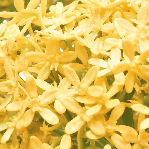 Artikel Prydnadslök Vild Allium konstgjord Gul 70cm 3 st