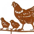 Floristik24 Blomplugg, kyckling med kycklingar, påsk, metalldekor med patina H21cm B40cm
