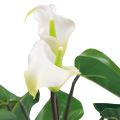 Floristik24 Calla Lily Kalla Konstgjorda Blommor Vita Exotiska Blommor 34cm