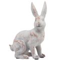 Floristik24 Kanin sittande dekorativ kanin konstgjord sten vit brun 15,5x8,5x22cm