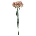 Floristik24 Dekorativ blomma Wild Allium konstgjord rosa 70cm 3st