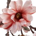 Floristik24 Magnolia gren magnolia konstgjord lax 58cm