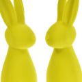 Floristik24 Flockade kaniner Påskharar gulgröna 8×10×29cm 2st