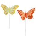 Floristik24 Dekorativa fjärilar på trådfjädrar orangegul 7×11cm 12st