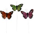 Floristik24 Dekorativa fjärilar på trådfjädrar grön rosa orange 6,5×10cm 12st