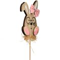 Floristik24 Blomplugg trä påskplugg kanin med glasögon 8,5cm 12st