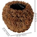 Dekorativ kruka med kottar, naturligt utseende, 27 cm. Rund kruka med tallkottar, naturbrun, tillverkad av tallkottar, 27 cm x 22 cm. | Floristik24.se