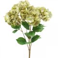 Floristik24 Hortensia bukett konstgrön, brun 5 blommor 48cm