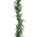 Floristik24 Konstgjord eukalyptusgirlang dekorativ girlang grön 150cm