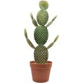 Floristik24 Dekorativ kaktus konstgjord krukväxt 64cm