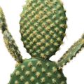 Floristik24 Dekorativ kaktus konstgjord krukväxt 64cm