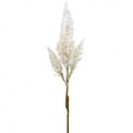 Floristik24 Pampas gräs vit kräm konstgräs dekoration 82cm