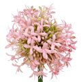 Floristik24 Allium konstgjord rosa 51cm