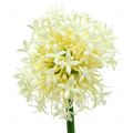 Floristik24 Prydnads Allium konstgjord vit 51 cm 4st