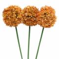 Floristik24 Prydnadslök Allium konstgjord orange 70cm 3st