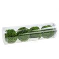 Floristik24 Allium ball 5cm grön 4st