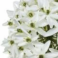 Floristik24 Dekorativ blomma Allium, konstgjord kul purjolök, prydnadslök vit Ø20cm L72cm