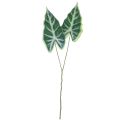 Floristik24 Alocasia Elephant Ear Arrow Blad Konstgjorda Växter Grön 55cm