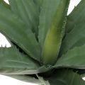 Floristik24 Aloe gren konstgrön 47cm