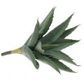 Floristik24 Aloe gren konstgrön 47cm