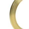 Floristik24 Plattråd i aluminium guld 5 mm x 1 mm 2,5 m