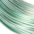 Aluminiumtråd 2mm dekorativ tråd hantverkstråd 60m 500g | Floristik24.se
